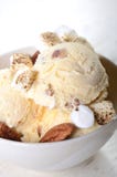 Butter Pecan Ice Cream with toasted pecans and marshmallows royalty free stock image Butter Pecan Ice Cream with toasted pecans and marshmallows royalty free stock image