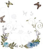 Butterflies And Flowers Frame Stock Photos