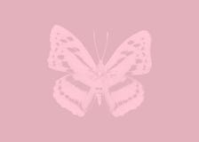 Butterflies Edén II vector illustration Butterflies Edén II vector illustration