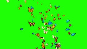 Butterflies flying on a green background