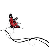 Butterfly Royalty Free Stock Photography Butterfly Royalty Free Stock Photography