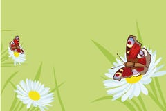 Butterfly Background With Flowers Stock Photography