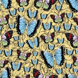 Butterfly cartoon drawing seamless pattern, vector background. Abstraction drawn insect with colorful pastel wing on yellow textur Royalty Free Illustration Butterfly cartoon drawing seamless pattern, vector background. Abstraction drawn insect with colorful pastel wing on yellow textur Royalty Free Illustration