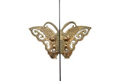 Butterfly Door Royalty Free Stock Images Butterfly Door Royalty Free Stock Images