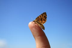 Butterfly on a finger stock photo Butterfly on a finger stock photo