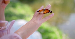 A butterfly on the hand of a woman