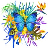 Butterfly, Tropical Leaves And Exotic Flower Royalty Free Stock Image Butterfly, Tropical Leaves And Exotic Flower Royalty Free Stock Image