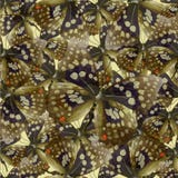 Butterfly 04 yellow. Seamless pattern from butterflies, vector illustration, clip-art vector illustration Butterfly 04 yellow. Seamless pattern from butterflies, vector illustration, clip-art vector illustration