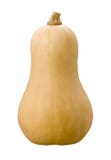 Butternut Squash Isolated