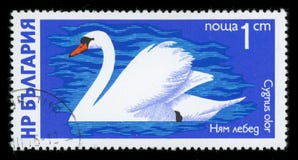 Bułgaria ` Waterfowl ` serii znaczek pocztowy, 1976 zdjęcie royalty free Bułgaria ` Waterfowl ` serii znaczek pocztowy, 1976 zdjęcie royalty free