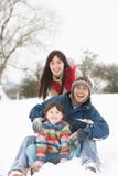 bygdfamiljgyckel som har snöig arkivfoto bygdfamiljgyckel som har snöig arkivfoto