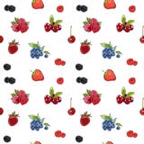 B?r f?r modell f?r mark?rhand drawnseamless p? baner Skissad mark?rmatvektor f?rgrikt hallon, jordgubbe, k?rsb?rsr?tt bl?b?r royaltyfri illustrationer B?r f?r modell f?r mark?rhand drawnseamless p? baner Skissad mark?rmatvektor f?rgrikt hallon, jordgubbe, k?rsb?rsr?tt bl?b?r royaltyfri illustrationer