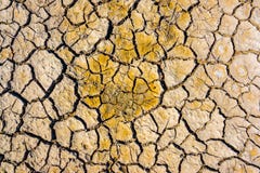 Bästa sikt av gräs i torka knäckt jordtextur Torr gyttjabakgrundstextur global värme arkivbilder Bästa sikt av gräs i torka knäckt jordtextur Torr gyttjabakgrundstextur global värme arkivbilder