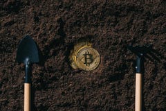 bästa sikt av ordnade arbeta i trädgården hjälpmedel och guld- bitcoins arkivbild bästa sikt av ordnade arbeta i trädgården hjälpmedel och guld- bitcoins arkivbild