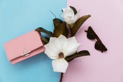 Bästa sikt och kvinnligt modebegrepp, minimalism royaltyfri fotografi Bästa sikt och kvinnligt modebegrepp, minimalism royaltyfri fotografi