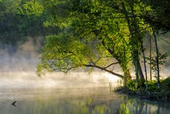 Bäume bei Sonnenaufgang mit Nebel auf See stockfoto Bäume bei Sonnenaufgang mit Nebel auf See stockfoto