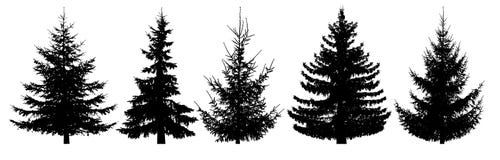 Bäume des Waldes eingestellt Lokalisiertes Vektorschattenbild lizenzfreie abbildung Bäume des Waldes eingestellt Lokalisiertes Vektorschattenbild lizenzfreie abbildung