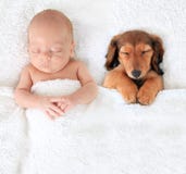 Bébé et chiot nouveau-nés Bébé et chiot nouveau-nés
