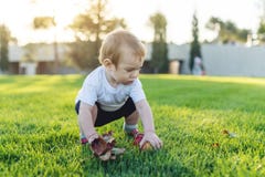 Bébé mignon jouant avec des pommes sur une pelouse verte en parc Enfant d'un an de concept photo stock Bébé mignon jouant avec des pommes sur une pelouse verte en parc Enfant d'un an de concept photo stock