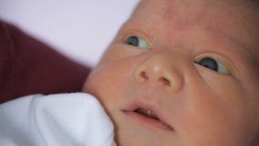 Bébé nouveau-né Bébé nouveau-né