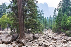 Bóveda del centinela de un rastro más bajo de la caída de Yosemite foto de archivo libre de regalías Bóveda del centinela de un rastro más bajo de la caída de Yosemite foto de archivo libre de regalías