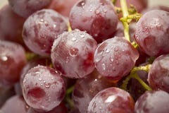 Bündel rote Trauben bedeckt mit Wassertropfen stockfotos Bündel rote Trauben bedeckt mit Wassertropfen stockfotos