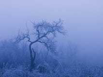 33c ural χειμώνας θερμοκρασίας της Ρωσίας τοπίων Ιανουαρίου 33c ural χειμώνας θερμοκρασίας της Ρωσίας τοπίων Ιανουαρίου