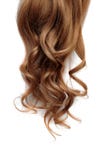 Cabelo marrom ondulado longo no fundo branco fotos de stock royalty free Cabelo marrom ondulado longo no fundo branco fotos de stock royalty free
