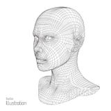 Cabeça da pessoa de uma grade 3d Modelo humano do fio polygon Exploração da cara Vista Projeto geométrico polygonal ilustração stock Cabeça da pessoa de uma grade 3d Modelo humano do fio polygon Exploração da cara Vista Projeto geométrico polygonal ilustração stock