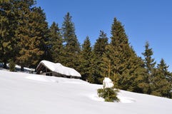 Cabin In Winter Royalty Free Stock Photos