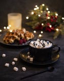 Cacao marshmellow waffels świeczek bożych narodzeń belgijskiego hugge wygodny dom fotografia royalty free Cacao marshmellow waffels świeczek bożych narodzeń belgijskiego hugge wygodny dom fotografia royalty free