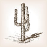 Cactus hand drawn sketch style vector vector illustration Cactus hand drawn sketch style vector vector illustration
