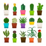 Cactus houseplants in geplaatste bloempotten vector illustratie Cactus houseplants in geplaatste bloempotten vector illustratie