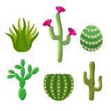 android cactus download free android cactus download free