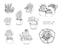 Cactus and succulents set. Collection plants in pots, florarium isolated on white background. Hand drawn illustration royalty free illustration Cactus and succulents set. Collection plants in pots, florarium isolated on white background. Hand drawn illustration royalty free illustration