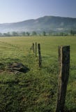 cades creek odpowiada ogrodzenie wiosny zdjęcia stock cades creek odpowiada ogrodzenie wiosny zdjęcia stock