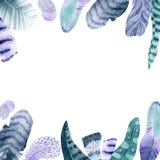 Cadre carré de plume d'aquarelle sur le backhround blanc illustration libre de droits Cadre carré de plume d'aquarelle sur le backhround blanc illustration libre de droits