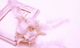 Cadre de tableau, coquille et plumes tout le corail images stock Cadre de tableau, coquille et plumes tout le corail images stock