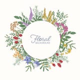 Cadre ou frontière rond décorée des fleurs, des inflorescences et des feuilles sauvages de floraison colorées de pré Circulaire m illustration de vecteur Cadre ou frontière rond décorée des fleurs, des inflorescences et des feuilles sauvages de floraison colorées de pré Circulaire m illustration de vecteur