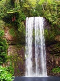 Cadute di Millaa Millaa