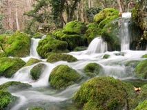 Cadute sul piccolo fiume della montagna Fotografie Stock Cadute sul piccolo fiume della montagna Fotografie Stock