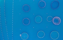 Cages for fish farming aerial view Stock Photography Cages for fish farming aerial view Stock Photography