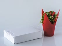 Caixa branca em branco decoração e whitespace festivos imagens de stock Caixa branca em branco decoração e whitespace festivos imagens de stock