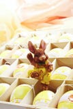 Caixa de presente com ovos da páscoa e figura do coelhinho da Páscoa fotos de stock Caixa de presente com ovos da páscoa e figura do coelhinho da Páscoa fotos de stock