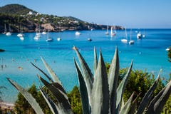 Cala Tarida in Ibiza-strand San Jose in de Balearen stock foto Cala Tarida in Ibiza-strand San Jose in de Balearen stock foto