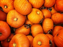 Calabazas de Víspera de Todos los Santos fotografía de archivo Calabazas de Víspera de Todos los Santos fotografía de archivo