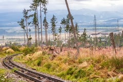 Calamité de forêt en haut parc national de Tatras, Slovaquie photographie stock libre de droits Calamité de forêt en haut parc national de Tatras, Slovaquie photographie stock libre de droits
