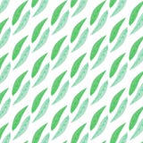 Calathea Leaves Pattern stock illustration Calathea Leaves Pattern stock illustration