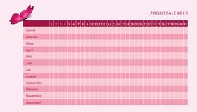 Calendario mensual de la menstruación del ciclo menstrual con la mariposa rosada stock de ilustración Calendario mensual de la menstruación del ciclo menstrual con la mariposa rosada stock de ilustración