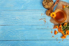Calendula tea with fresh and dried flowers on blue wooden background with copy space for your text. Top view royalty free stock photography Calendula tea with fresh and dried flowers on blue wooden background with copy space for your text. Top view royalty free stock photography